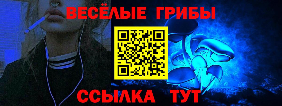 Псилоцибиновые грибы Cubensis Торжок
